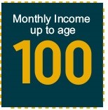 Monthly Income Icon