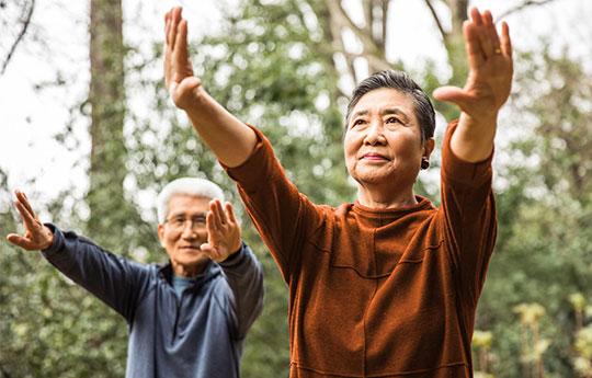 An elderly Asian couple practicing Tai Chi with raised hands in a park, focusing on senior health.