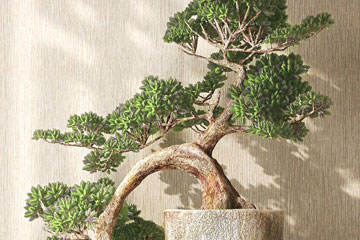 永譽傳承儲蓄計劃